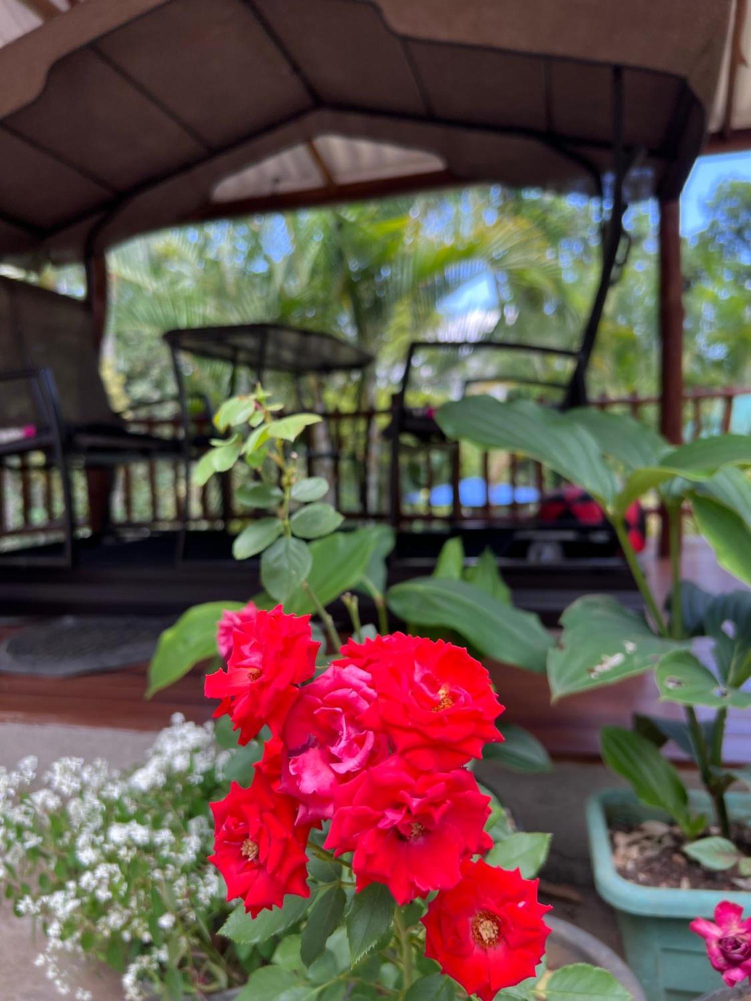 Eeshani Guest Homestay *